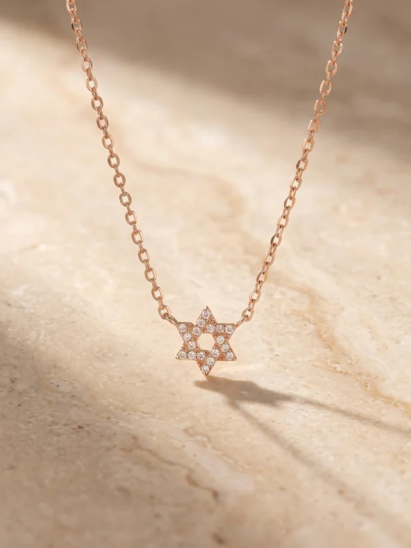 שרשרת דוידי רוז – כסף 925
